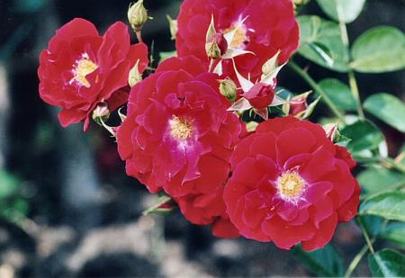 Un *ti poem o passaj pour detendr latmosfer